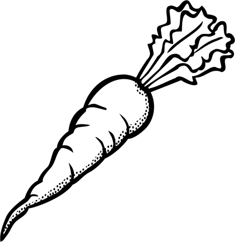 Vegetables Black And White Clip At Of Ripe Carrot In - Black And White Carrot (486x500), Png Download