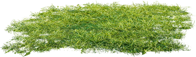 Report Abuse - Lawn (650x222), Png Download