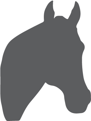 Chalkboard Horse Head Wall Art Wall Quotes Wall Decal - Clipart Horse Head Silhouette (450x450), Png Download