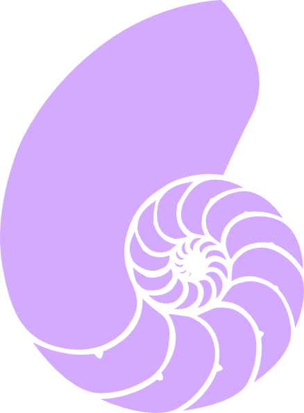 Purple Seashell Clipart - Nautilus Shell Clipart (438x595), Png Download