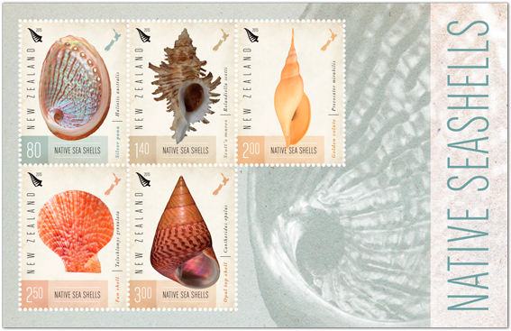 Sea Shells Miniature Sheet - Postage Stamp (600x600), Png Download