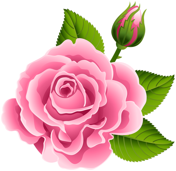 Pink Rose With Rose Bud Png Clip Art Image - Pink Rose Bud (600x581), Png Download
