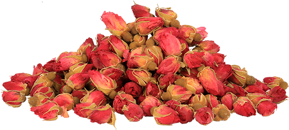 Our Other Products - Bud (580x420), Png Download