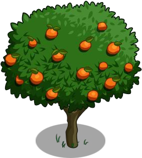Orange Tree 100-icon - Orange2 (300x400), Png Download