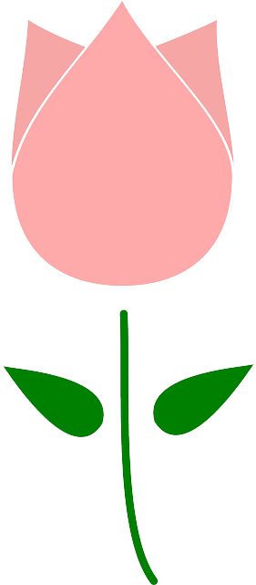 Tulip Flower Clip Art (320x640), Png Download