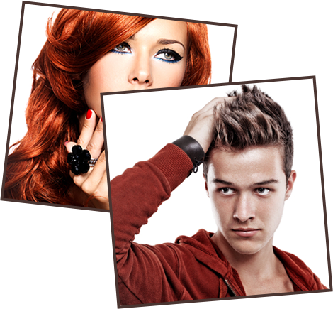 Hair On Mason - Custom 60 In. Silverstep - 92"h Hybrid Graphic Package, (470x435), Png Download