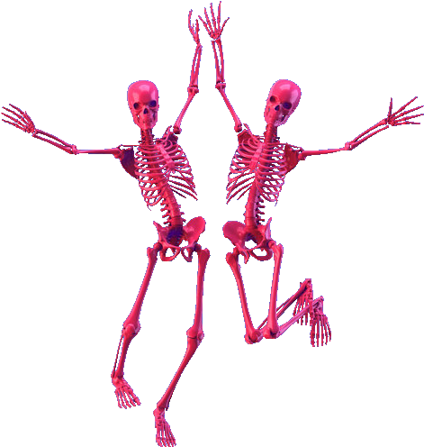 Pink Skull Png Transparent - Skeleton (500x527), Png Download