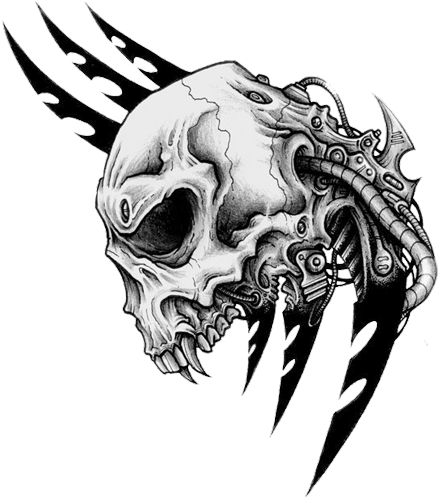 Skull Tattoo Png Transparent Skull Tattoo - Png Skull Tattoo (450x507), Png Download