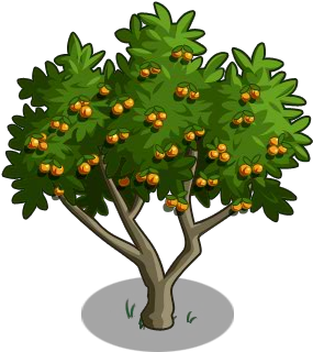 Apricot Tree 100-icon - Christmas Tree (300x400), Png Download
