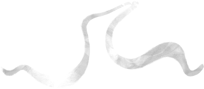 View Product - Headband (676x290), Png Download