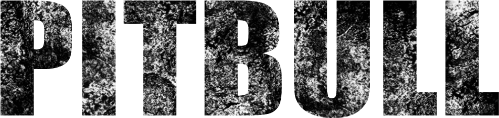 Pitbull - Number (1000x415), Png Download