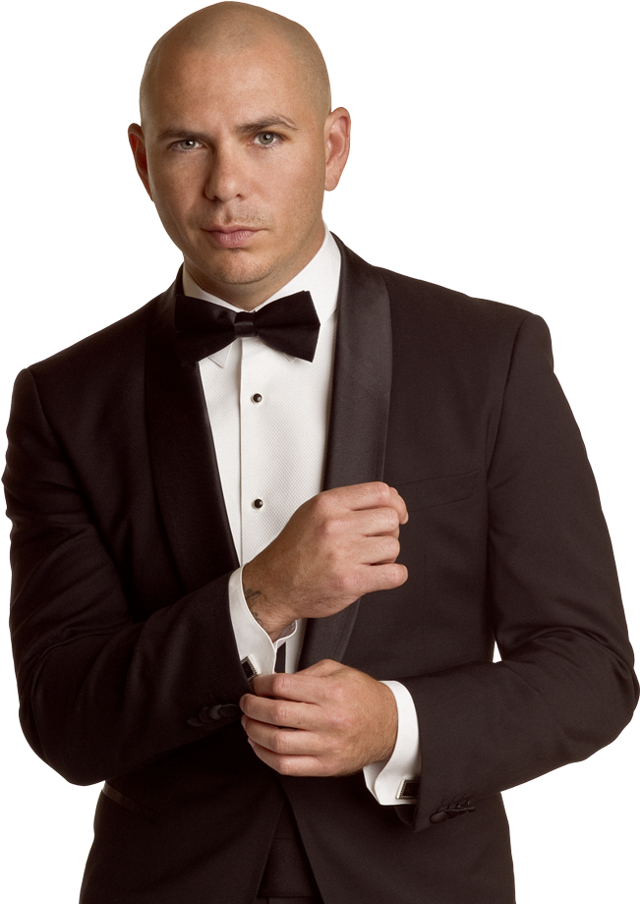 Pitbull - Mr - Worldwide - World Wide Nye - Pit Bull Music (650x906), Png Download