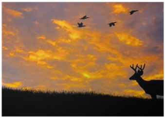 Deer Hunting Silhouette Art (400x400), Png Download