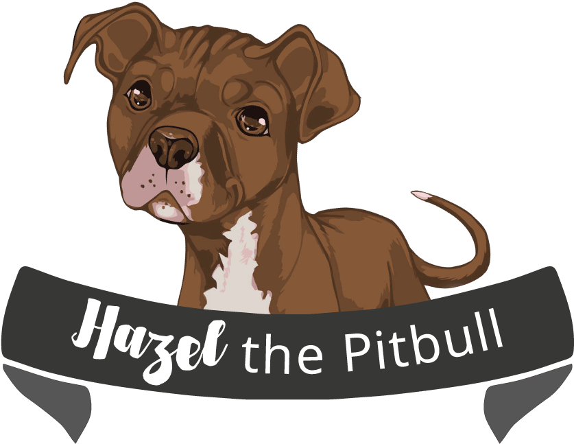 Pitbull Png - Alt Attribute (860x670), Png Download