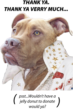 Rocky-elvis - Sleeve (331x481), Png Download