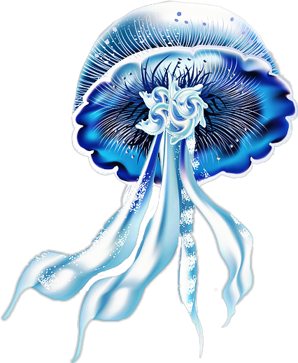 Jellyfish (426x519), Png Download