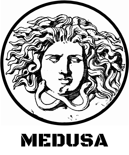 Medusa Logo - Medusa Black And White Graphics (960x718), Png Download