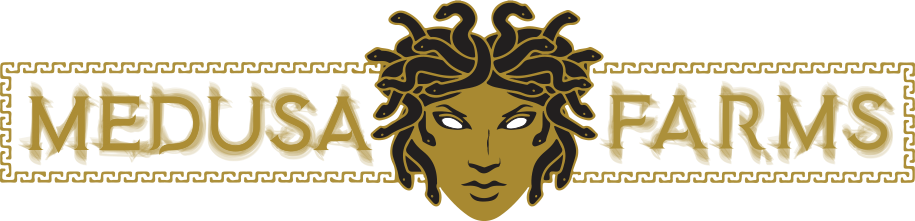 Medusa Farms - Weedmaps (915x221), Png Download