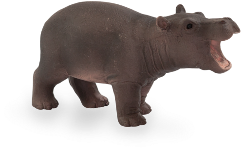 Hippo Baby - Mojo Hippo Baby (540x374), Png Download