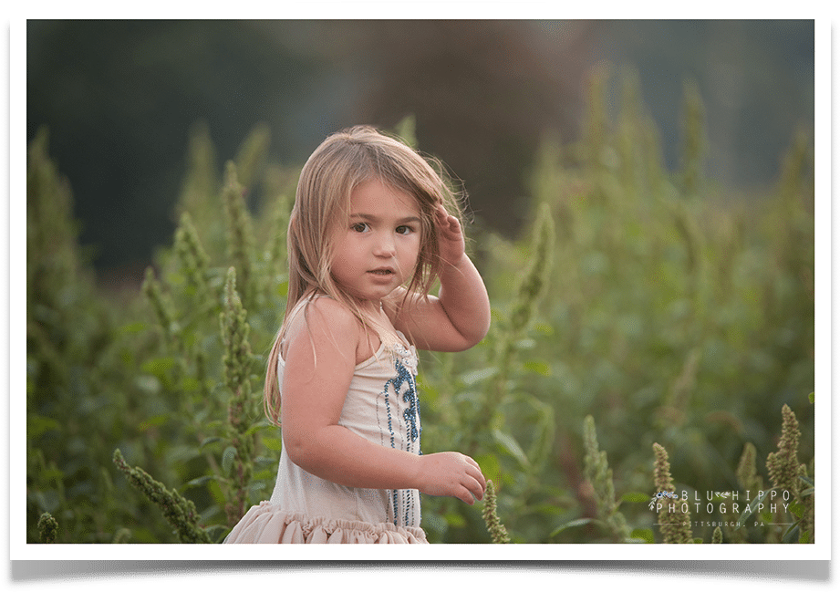 Blu Hippo Photography Archives - Pittsburgh (960x700), Png Download