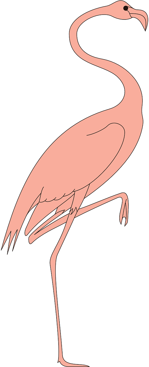 Fågel På Ett Ben (240x595), Png Download