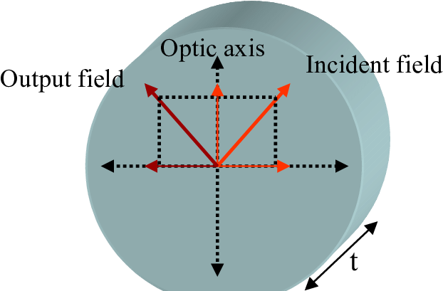 6 A Half Wave Plate Causes A Phase Shift Of Π Between - Euclidean Vector (639x408), Png Download