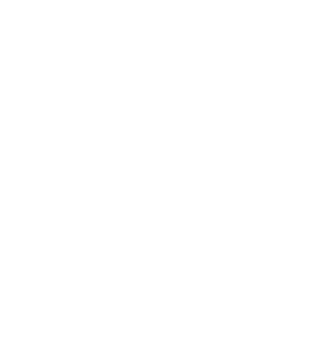 Lion And Dragon Dance Lion And Dragon Dance - Steps To The Dragon Dance (487x493), Png Download