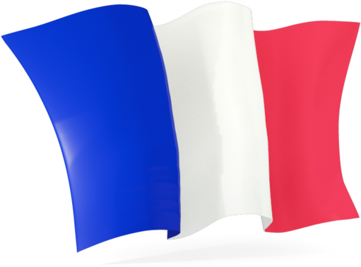 France Flag Icon Png - France Flag Waving Png (640x480), Png Download