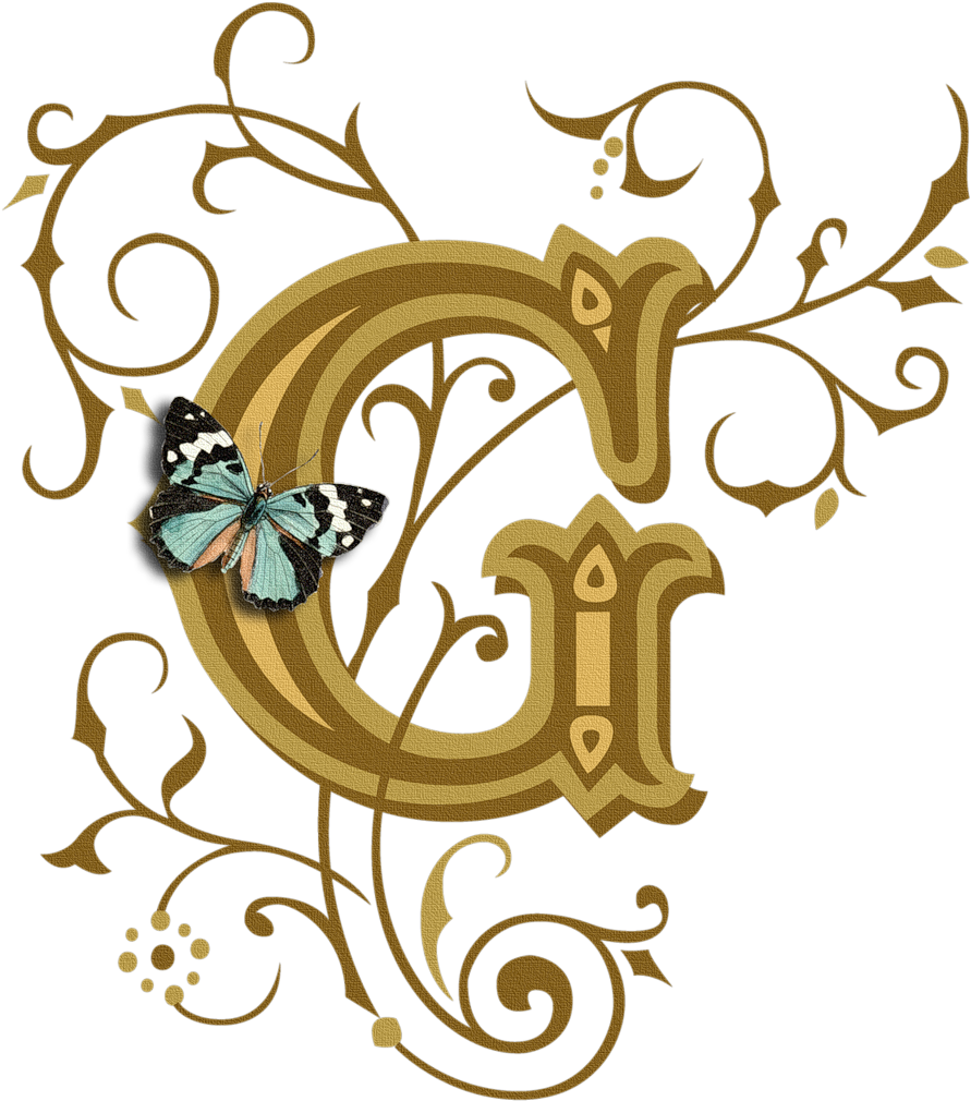 Letter - G - Magpie Curios Butterfly Mug - Beautifully Illustrated (925x1024), Png Download