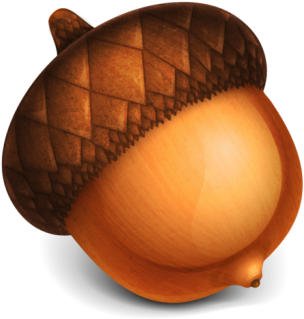 Acorn Clipart Transparent - Acorn Png (350x350), Png Download
