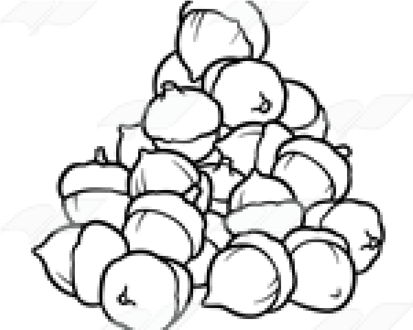 Acorn Clipart Pile - Line Art (640x480), Png Download