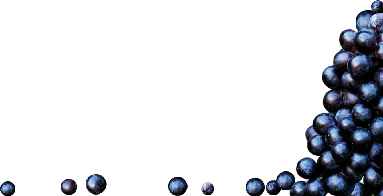 Raisins Vin (1348x692), Png Download