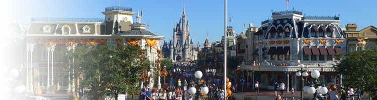 Disney World - Disney World, Cinderella Castle (750x200), Png Download