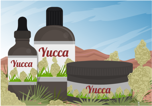 Yucca Scene And Yucca Medicine Extract Of Vector - Euclidean Vector (700x490), Png Download