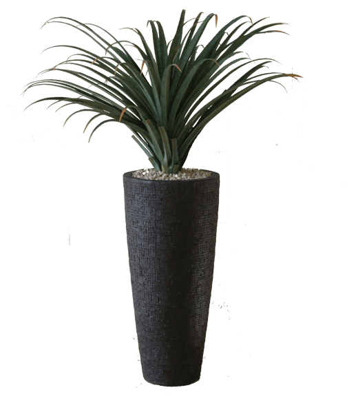 1 - 2 - - Houseplant (881x586), Png Download