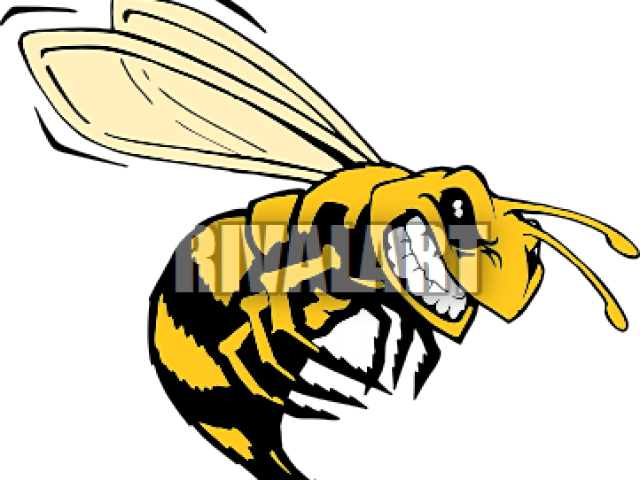 Killer Bee Clip Art (640x480), Png Download