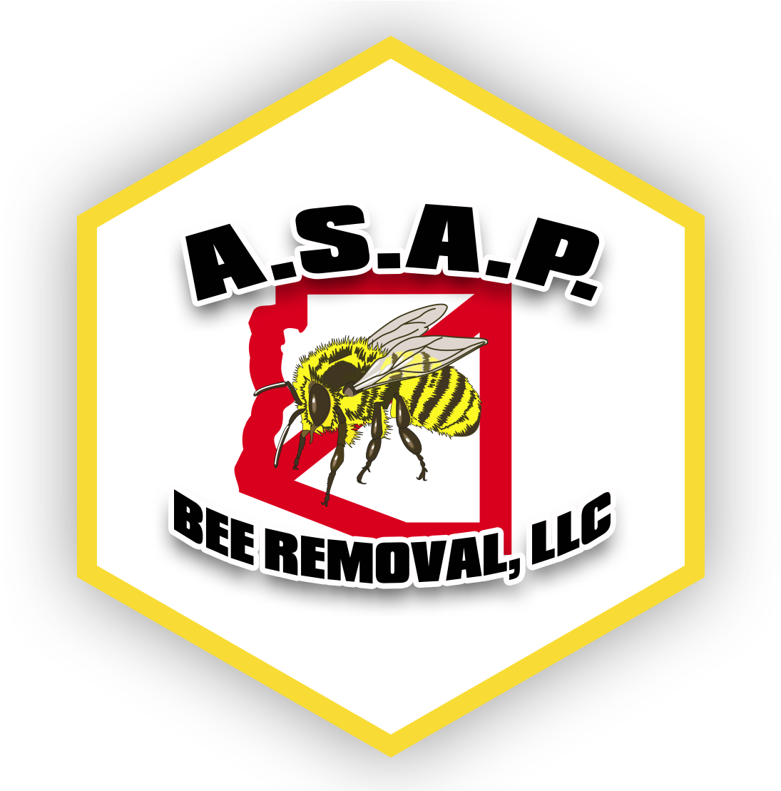 A - S - A - P - Bee Removal, Az - Phoenix Bees In Mulberry Tree (1108x1108), Png Download