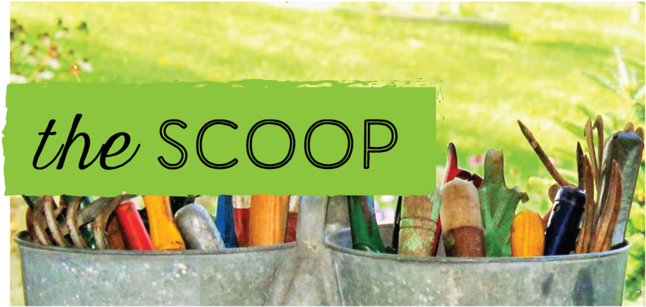 Gjj The Scoop (1000x542), Png Download