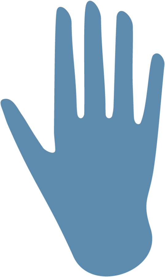 Hand Bug Logo - Logo (1000x1047), Png Download