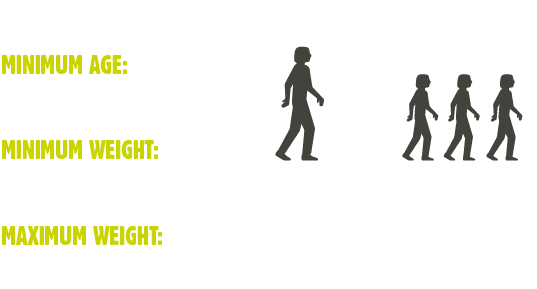 Forest Segway Supervision Ratios Sept - Silhouette (555x312), Png Download