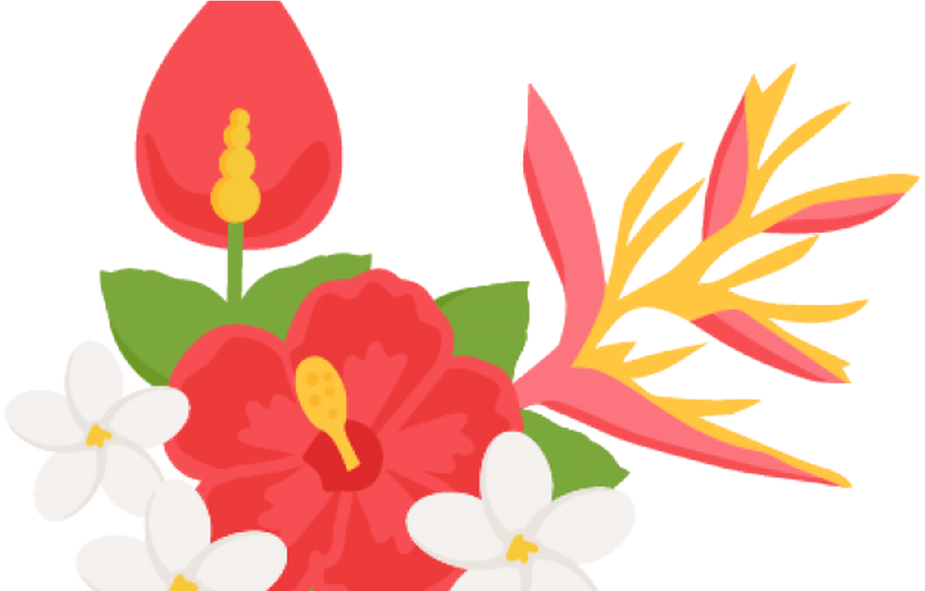 Transparent Clip Art Flower Boarder Gardening Flower - Transparent Tropical Clipart (1368x855), Png Download