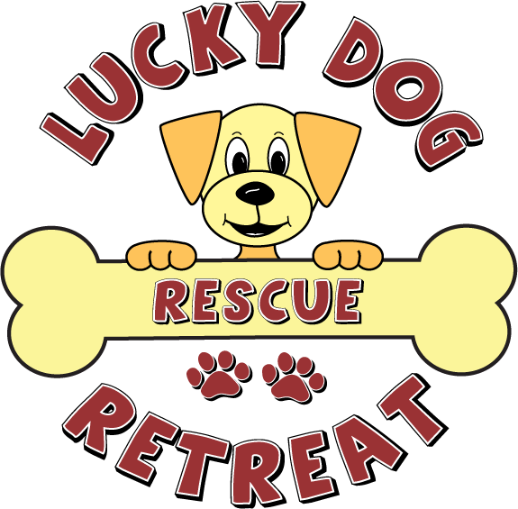 Lucky Dog Retreat Rescue (575x565), Png Download