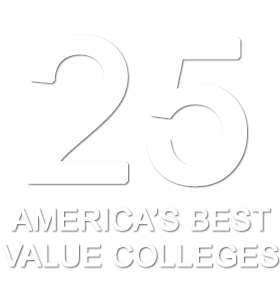 #25 America's Best Value Colleges - 25 Year Environment Plan (400x400), Png Download