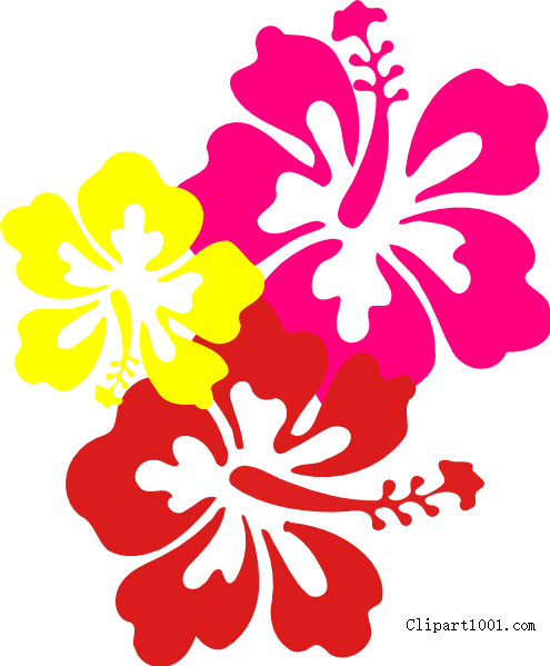 Download Hd Free Hawaiian Flower Clip Art Three Flowers Printable Hibiscus Clip Art Transparent Png Image Nicepng Com