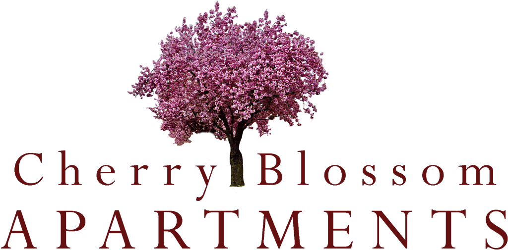 Sunnyvale Property Logo - Cherry Blossom Tree Logo (1500x623), Png Download