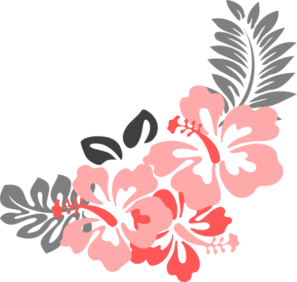 Hibiscus Flower Png Border - Coral Flowers Clip Art (600x570), Png Download