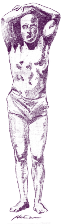 Affordable Weird News Campfire Stories Tall Tales Mermaids - Sketch (204x720), Png Download