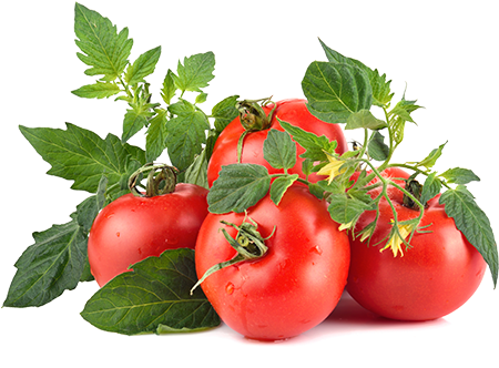Tomato (457x455), Png Download