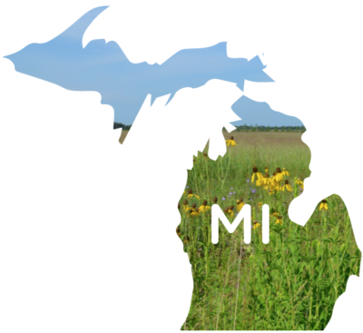 Mi Tallgrass Mix - State Of Michigan (400x367), Png Download