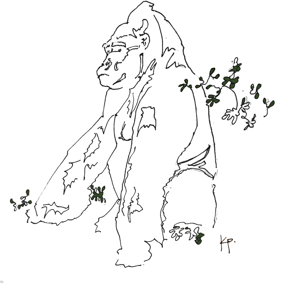 Gorilla (1000x1157), Png Download